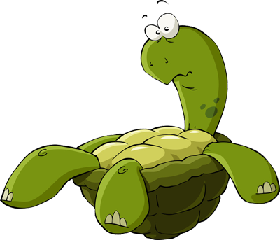 Turtle on back